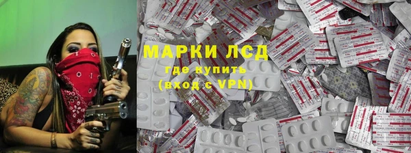 сатива Березники