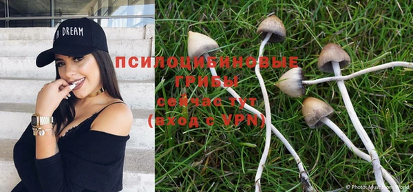 стаф Одинцово
