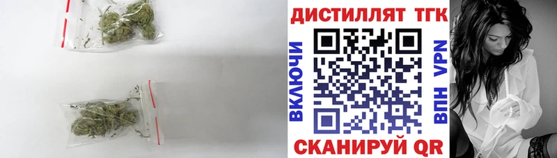Купить  Ивангород  ТГК концентрат 
