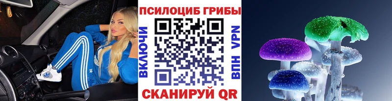 Псилоцибиновые грибы мухоморы  Купить  Ивангород 